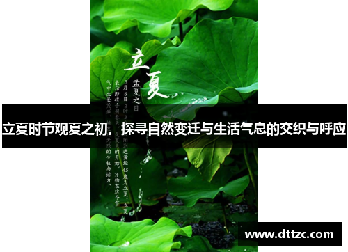 立夏时节观夏之初，探寻自然变迁与生活气息的交织与呼应