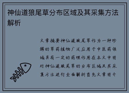 神仙道狼尾草分布区域及其采集方法解析